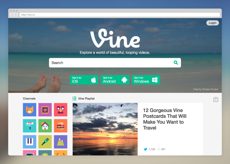 vine web update