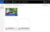 Der Inhalt des Dokumentordners unter OneDrive im Browser.