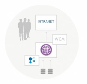 Social Intranet mit Quellen im WCM oder in Social Collaboration Plattformen