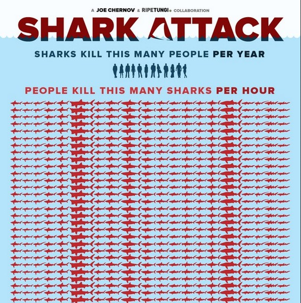 Shark-Attack-Stop-Finning-Infographic.jpg (JPEG-Grafik, 590 × 8583 Pixel)