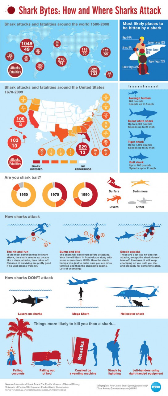 Hai Attacken weltweit Infografik