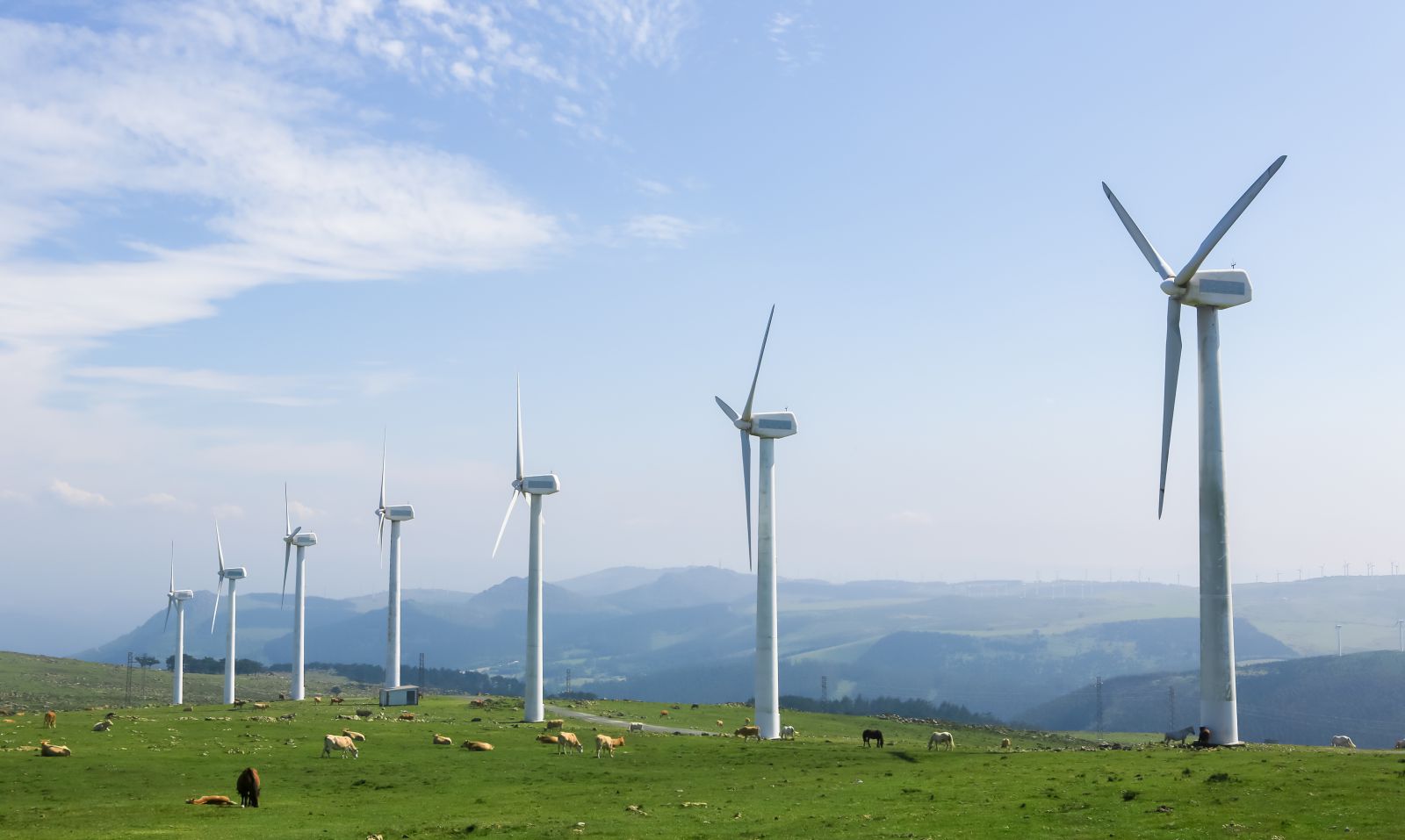 Windkraftanlagen zur nachhaltigen Energieerzeugung