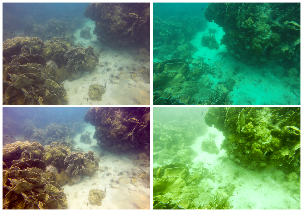 Vergleich GoPro Hero3+ mit und ohne Rotfilter Unterwasser Fotos