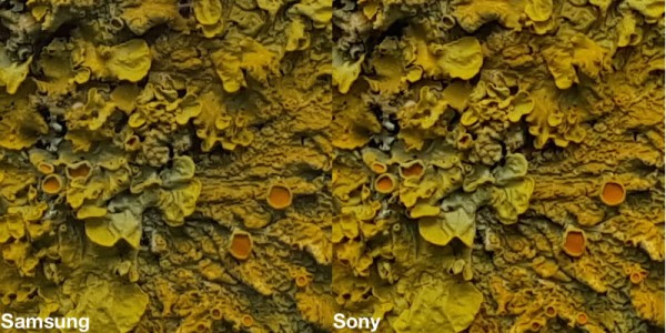 Vergleichsbild des Samsung Galaxy S6 Fotosensors