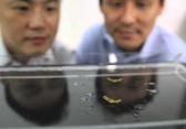 Kleine Roboter-Insekten, die über Wasser laufen können