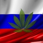 Russische Flagge mit Cannabis-Pflanze