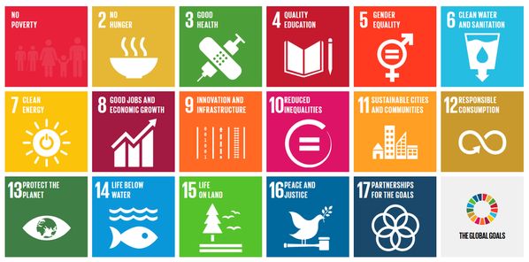 Die 17 Global Goals der UN