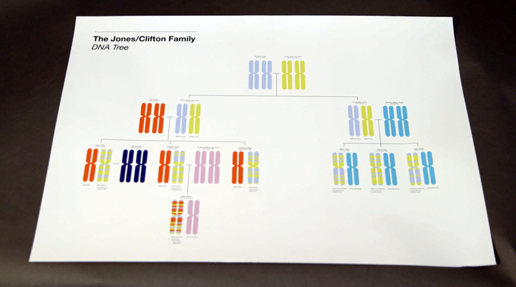 DNA_family_tree