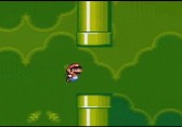 Flappy Bird goes Super Mario World