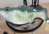 Amazon Echo: Bastler verwandelt Alexa in einen sprechenden Fisch