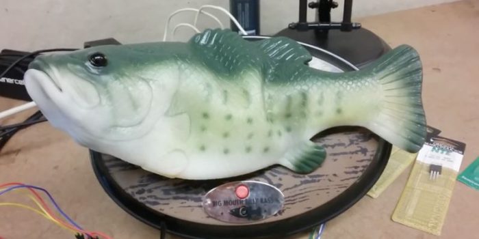 Amazon Echo: Bastler verwandelt Alexa in einen sprechenden Fisch