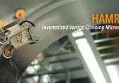 HAMR-E: Klebrige Pfoten – Roboter klettern an der Decke