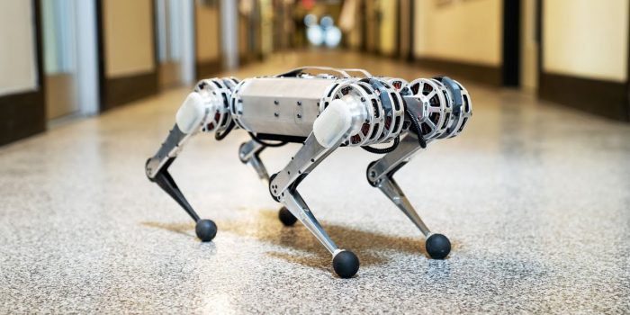 Cheetah 3 – Roboter schafft Salto aus dem Stand