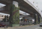 Projekt „Via Verde“: Mit vertikalen Gärten gegen die Luftverschmutzung
