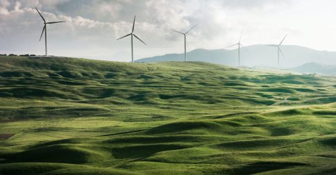 Windräder in grüner Landschaft